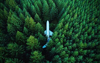 aerial view, 4k, plane in forest, summer, beautiful nature, plane, HDR, forest