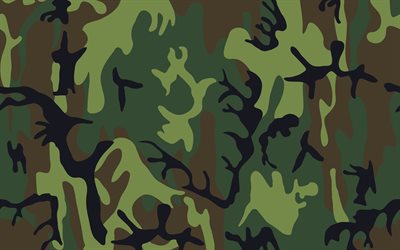 sommar kamouflage, gr&#246;n kamouflage textur, milit&#228;ra texturer, kamouflage texturer, gr&#246;n kamouflage bakgrund, milit&#228;ra bakgrunder