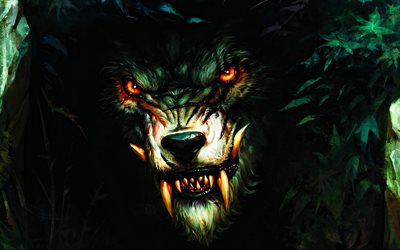 lupo mannaro, opera d&#39;arte, lupo, arte fantasy, fauna selvatica, predatori, lupo arrabbiato