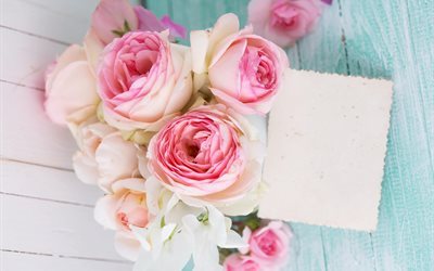 vaaleanpunaisia ruusuja, postikortti, kauniita kukkia, vaaleanpunaiset kukat, rose, ruusut