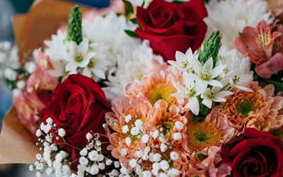 4k, bouquet da sposa, rose rosse, astri arancioni, bellissimo bouquet, bellissimi fiori