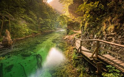 Triglav National Park, mountain river, forest, slovenian landmarks, beautiful nature, summer, mountains, Slovenia, Europe