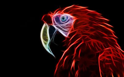 silhouette de perroquet, ara rouge, fractales, silhouette d&#39;ara rouge, dessins de perroquets