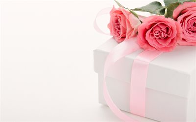 pink roses, gift box with pink silk bow, roses, beautiful bouquet, gift on a white background