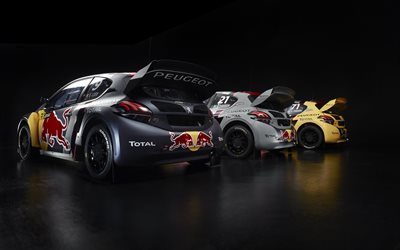 Peugeot 208 WRX, 2018 D&#252;nya RX, dış, yarış arabaları, Team Peugeot Total, D&#252;nya Rallycross Şampiyonası, Peugeot